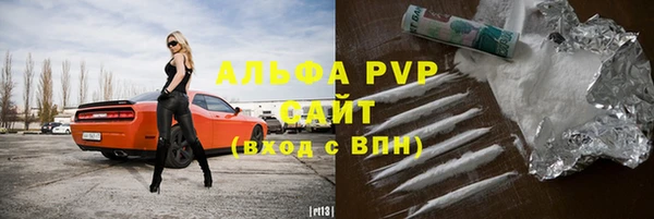 прущие грибы Кинешма