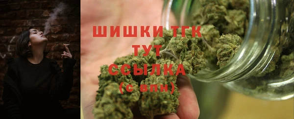стафф Касимов
