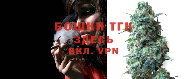 прущие грибы Кинешма