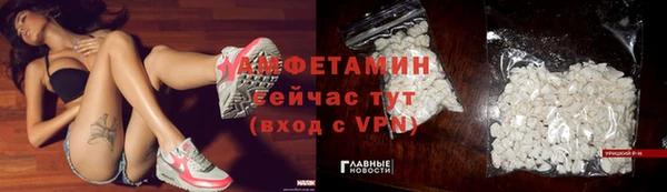 прущие грибы Кинешма