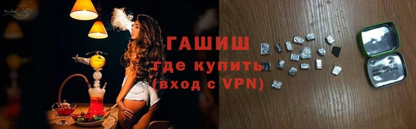 стафф Касимов