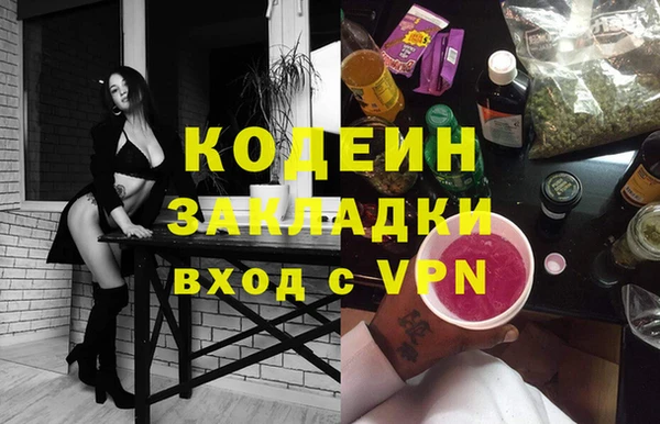 прущие грибы Кинешма