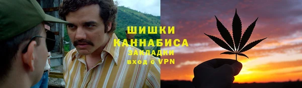 прущие грибы Кинешма