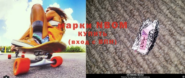 стафф Касимов