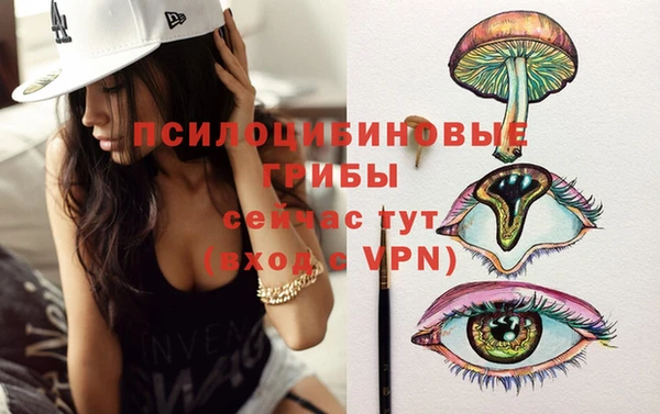 стафф Касимов