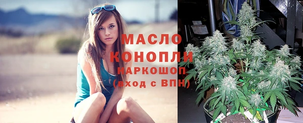 прущие грибы Кинешма