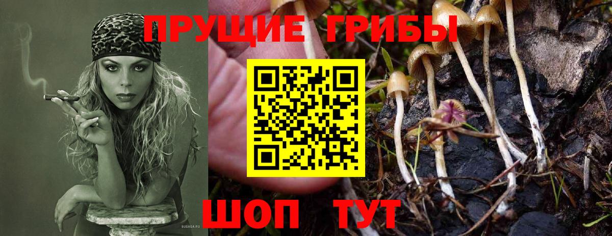 купить   Галлюциногенные грибы мухоморы  Зима  Вход с VPN  Галлюциногенные грибы GOLDEN TEACHER 