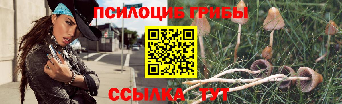 Псилоцибиновые грибы MAGIC MUSHROOMS Зима