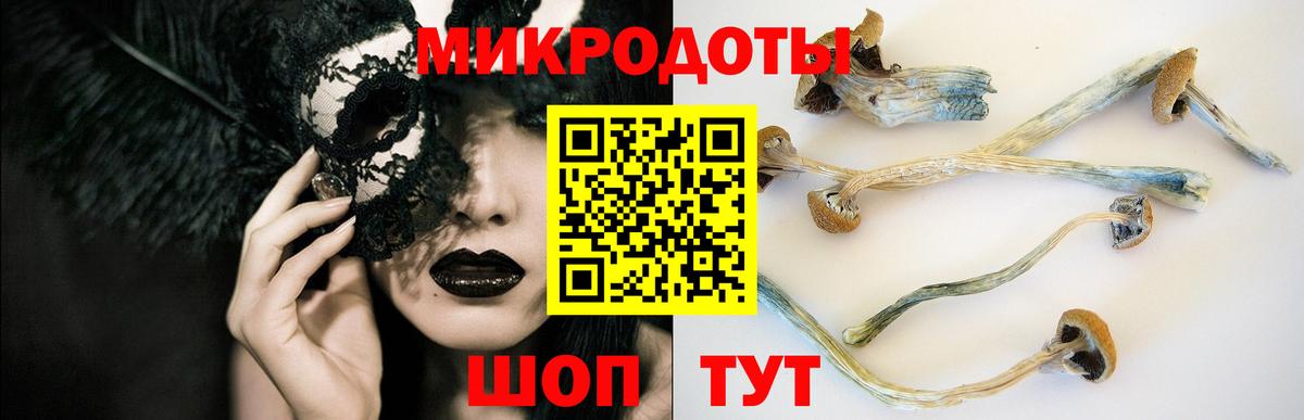 Галлюциногенные грибы MAGIC MUSHROOMS Зима